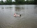 20060528_195_eigen_eiland1_jan_zwemt