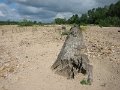20060530_212_rustje_boom