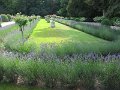 20060613_440_Chenonceau_kasteel_tuin_koningin