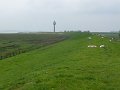 P1030250
