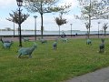 P1030256