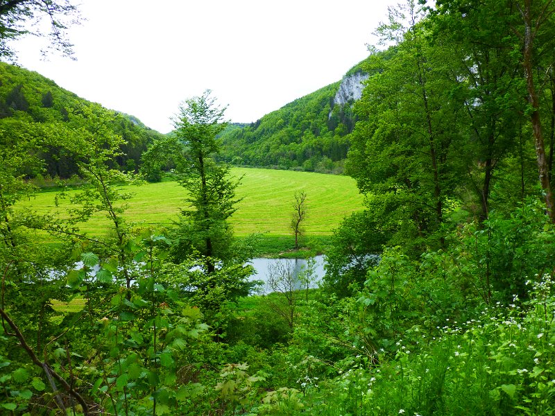 019-Inzigkofen.JPG - De volgende dag een heel mooi stuk, waar de rivier zich een weg gebaand heeft door de heuvels. Heel ander landschap dan gisteren.
