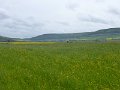 008-Landschap
