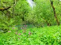 022-Donau