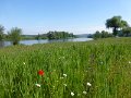 075-tussenEiningEnStaubing
