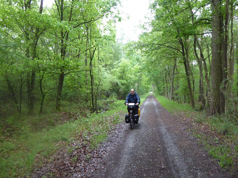 P1000079.JPG - We hebben dit jaar een route die ons over veel bospaadjes en zelfs zandpaden stuurt. De hellingen zijn vaak ook steil, zeker in dit stuk Teutoburger woud. Zwaar fietsen!