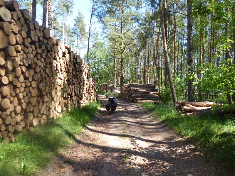 P1000270.JPG - Dus doen we een afsnijder. Dwars door de bossen (en bossen zijn hier nog productiebossen) naar ... 