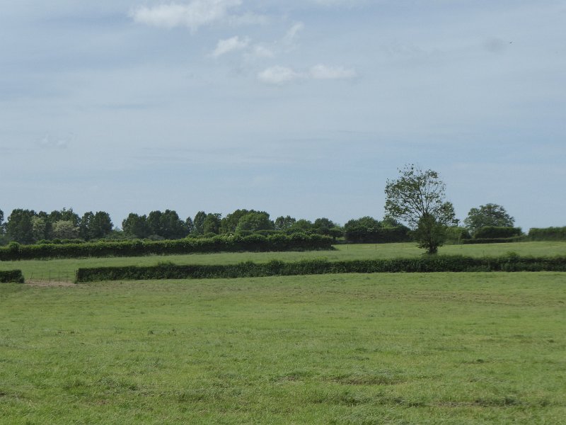 P1020146_Landschap-Heggen.JPG - Dit landschap is typisch voor de streek: golvend, met veel heggen. We rijden nu door het Parc Régional Avesnois, richting Arras.