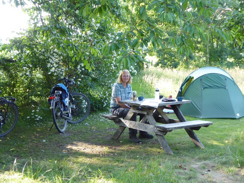 P1020346_Handel-Camping.-NJ.JPG - Die nacht slapen we op het mooiste kampeerterrein van de tocht: natuurkampeerterrein 't Veldje bij bij Handel (N-Br). Onder de kersenboom, naast de jasmijn. Misschien wel de mooiste plek van ons leven!