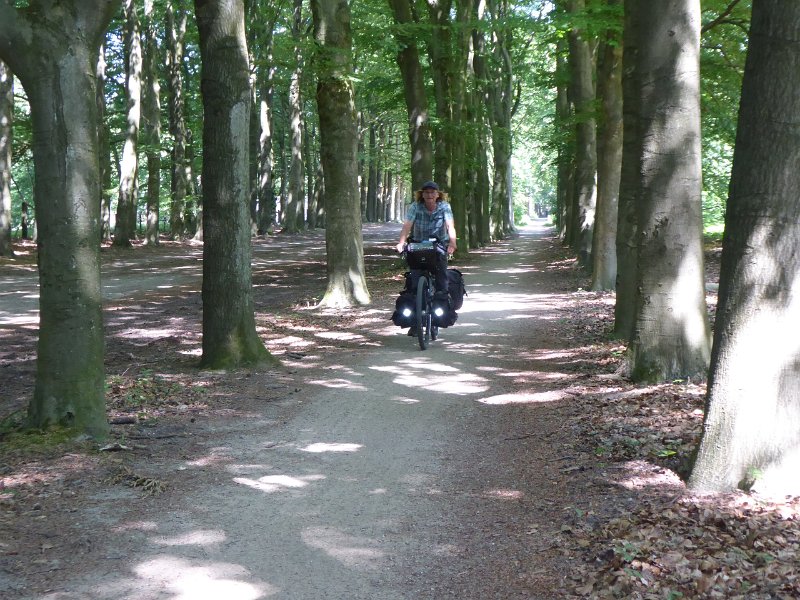 P1020365_LageVuursche.JPG - De volgende dag rijden we naar huis. Het stuk Rhenen - huis hebben we vaker gedaan. We volgen de Utrechtse heuvelrug, altijd mooi. Die paar hellingen kunnen ons niet meer deren.