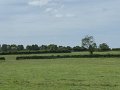 P1020146_Landschap-Heggen