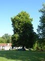 P1020181_SignylAbbaye-Camping