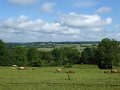 P1020183_Landschap