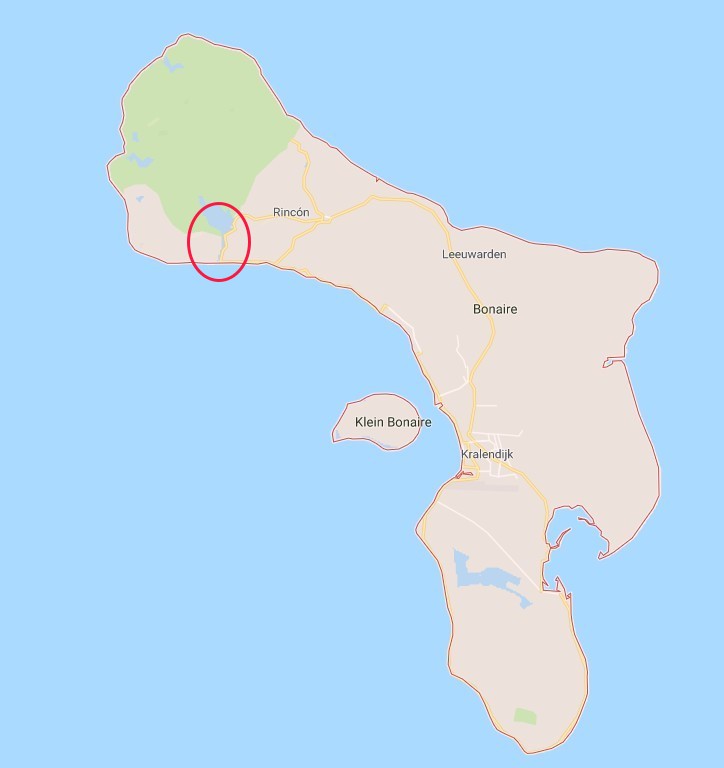 001-KaartjeBonaire_Dag3.jpg -  Woensdag overdag klaagde ik dat ik nog geen flamingo's gezien had. "Ga dan naar het Goto-meer", raadden mijn cursisten aan.