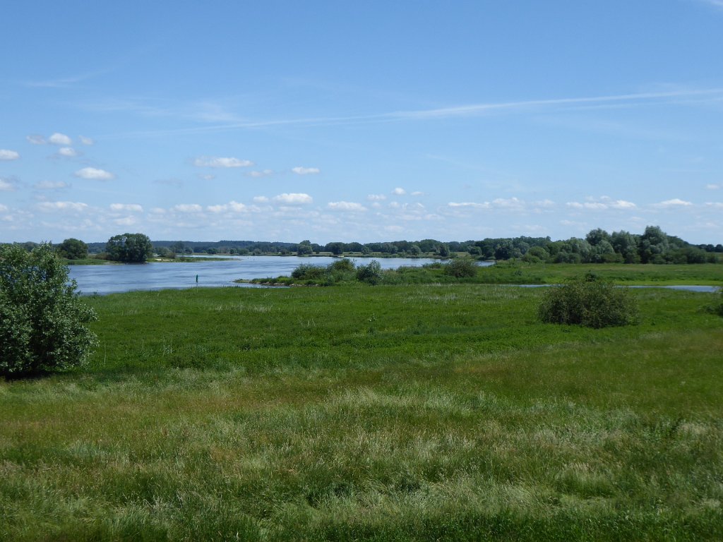 P1050390.JPG - We zijn nu echt in de benedenloop van de Elbe. Hij is hier zo breed als de Waal en stroomt even snel. Maar nog steeds nauwelijks beroepsvaart! Grote stukken uiterwaarden zijn dan ook nog zo goed als ongerept.