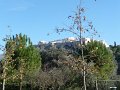 P1040585