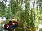 70079_WilgSnoeien