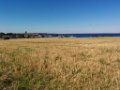 IMG_20140902_135345