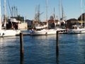 IMG_20140903_144736