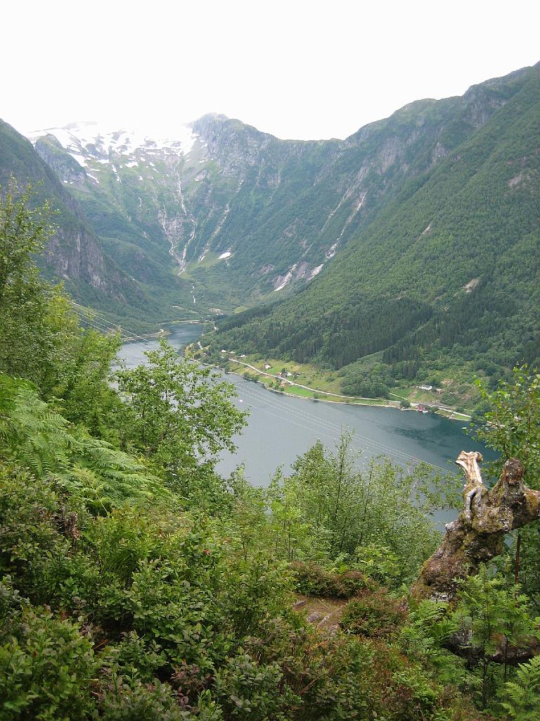 5933_BalestrandFjorden.jpg - Natuurlijk moesten we ook hier de berg op. Hetzelfde stukje fjord als de vorige plaatjes, maar nu van 200 meter hoog.