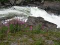 5568_Bergrivier