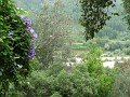 P1050675