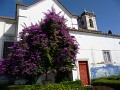 P1060135