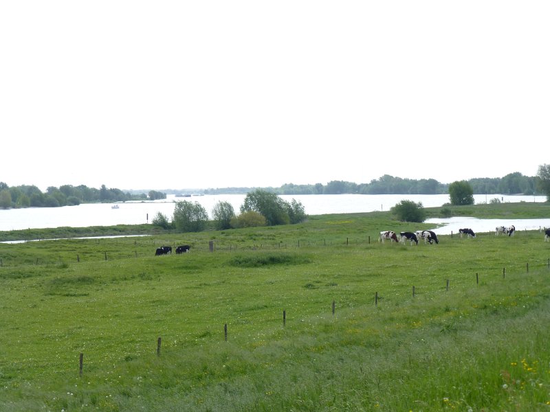 P1050964.JPG - De volgende dag, zondag 17 mei. De Rijn bij Xanten.
